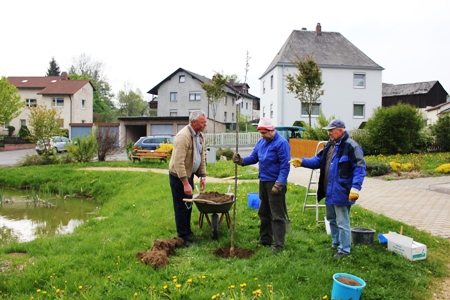 Pflanzakrion 2011