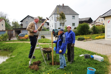 Pflanzakrion 2011