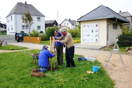 Pflanzakrion 2011