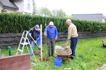 Pflanzakrion 2011