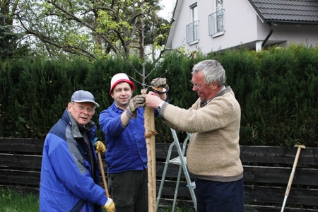 Pflanzaktion 2011