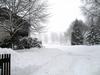 bild3034.jpg